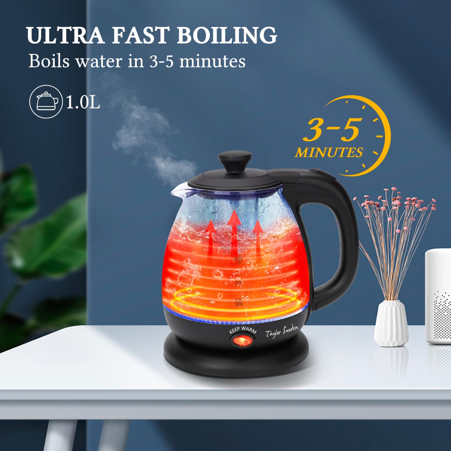 Elektrinis virdulys su filtru "Taylor Swoden" Abel, 2200w, 1,0l - Image 2