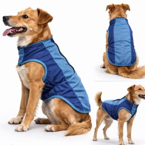 Šuns vėsinantis apsiaustas "Cooling Vest" mėlynas "S"