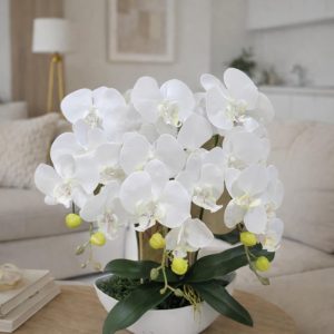 Silikoninė orchidėja vazone 50cm